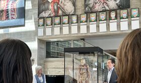 La exposicin internacional Human Bodies llega a Extremadura para mostrarse en el CCMIJU