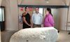 El Museo de Cceres expone el verraco geminado recuperado en el embalse de Valdecaas