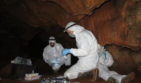 Proyecto arqueolgico de la Junta revela que ADN humano puede preservarse en las paredes de las cuevas Proyecto arqueolgico de la Junta revela que ADN humano puede preservarse en las paredes de las cuevas